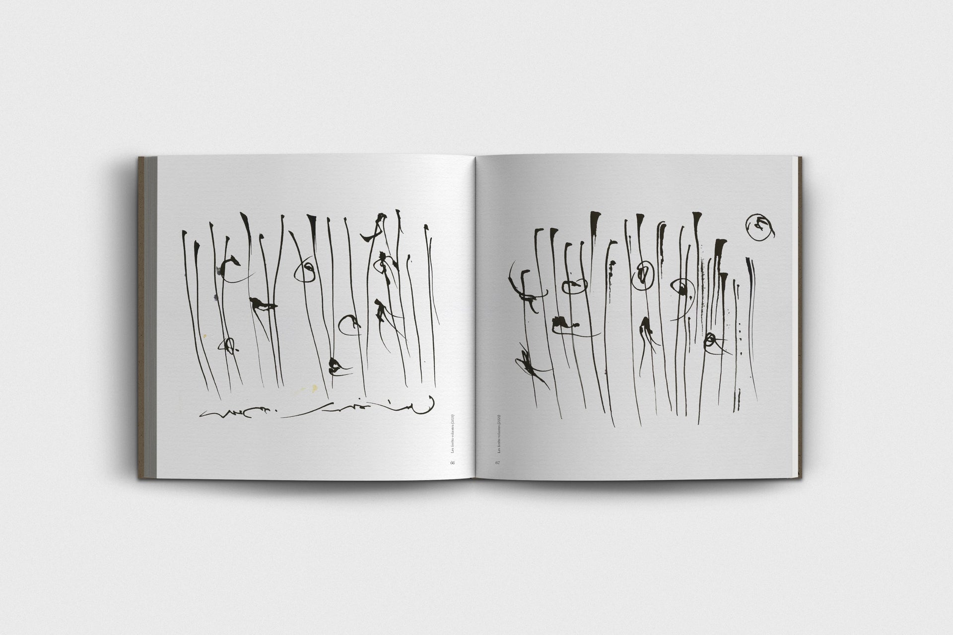 Arboglyphes